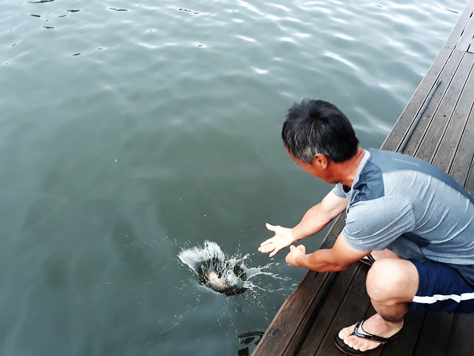 KakaoTalk_20180614_085122250.jpg