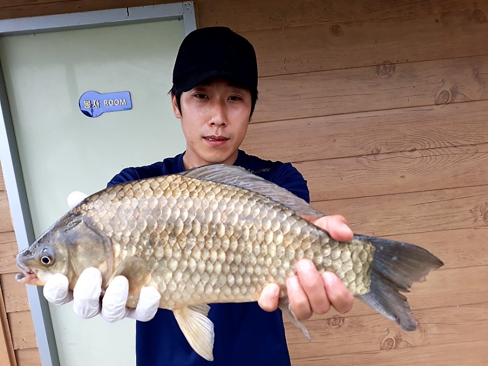 KakaoTalk_20180614_085125604.jpg