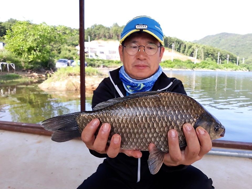 KakaoTalk_20180618_085442514.jpg