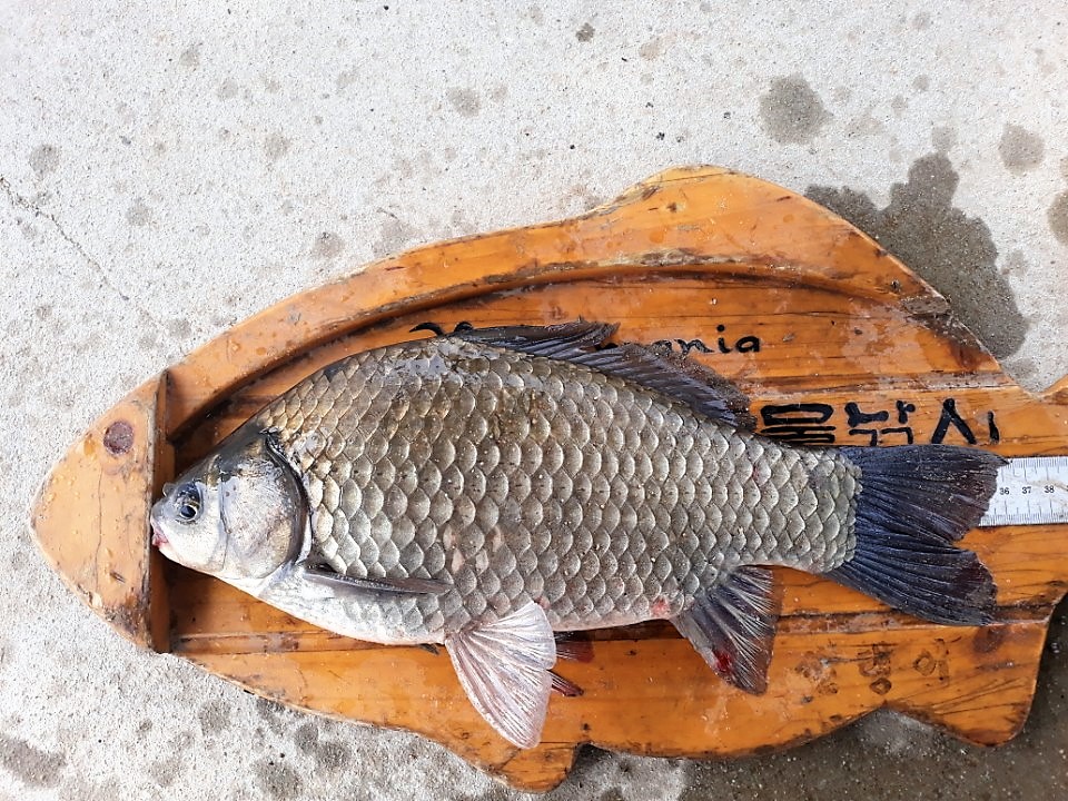 KakaoTalk_20180618_085444885.jpg