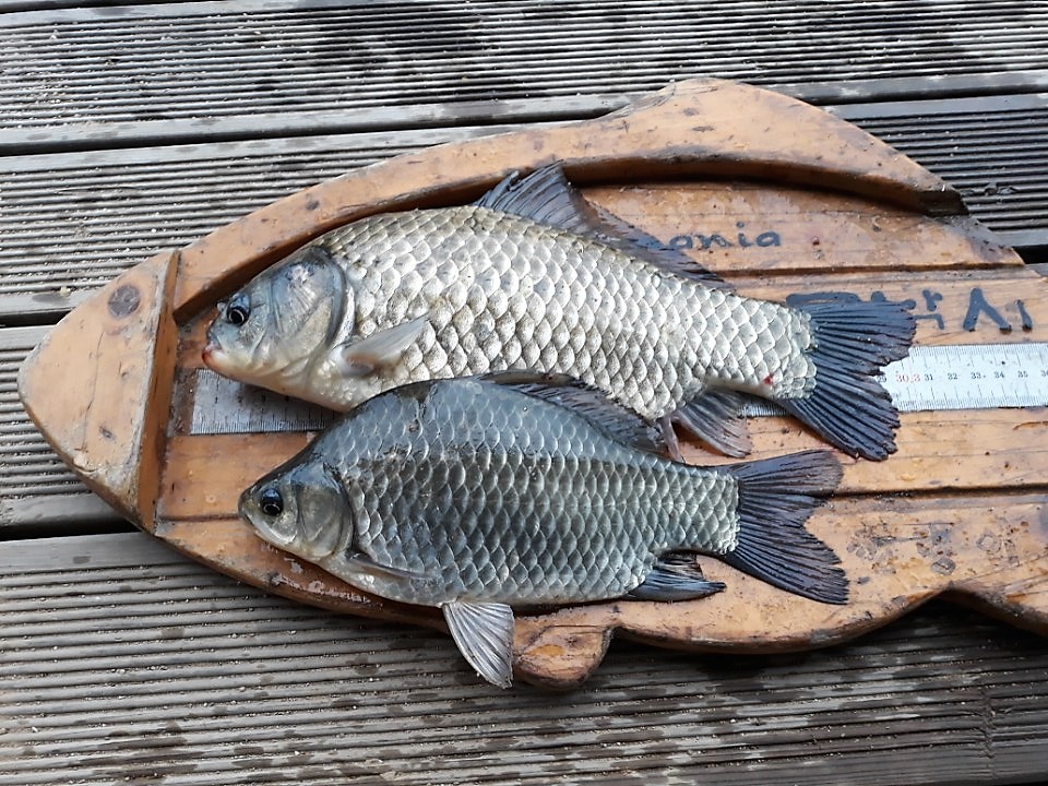 KakaoTalk_20180625_102516980.jpg