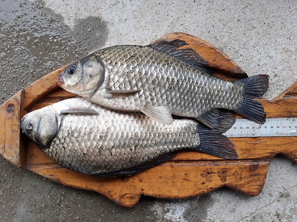 KakaoTalk_20180625_102516439.jpg