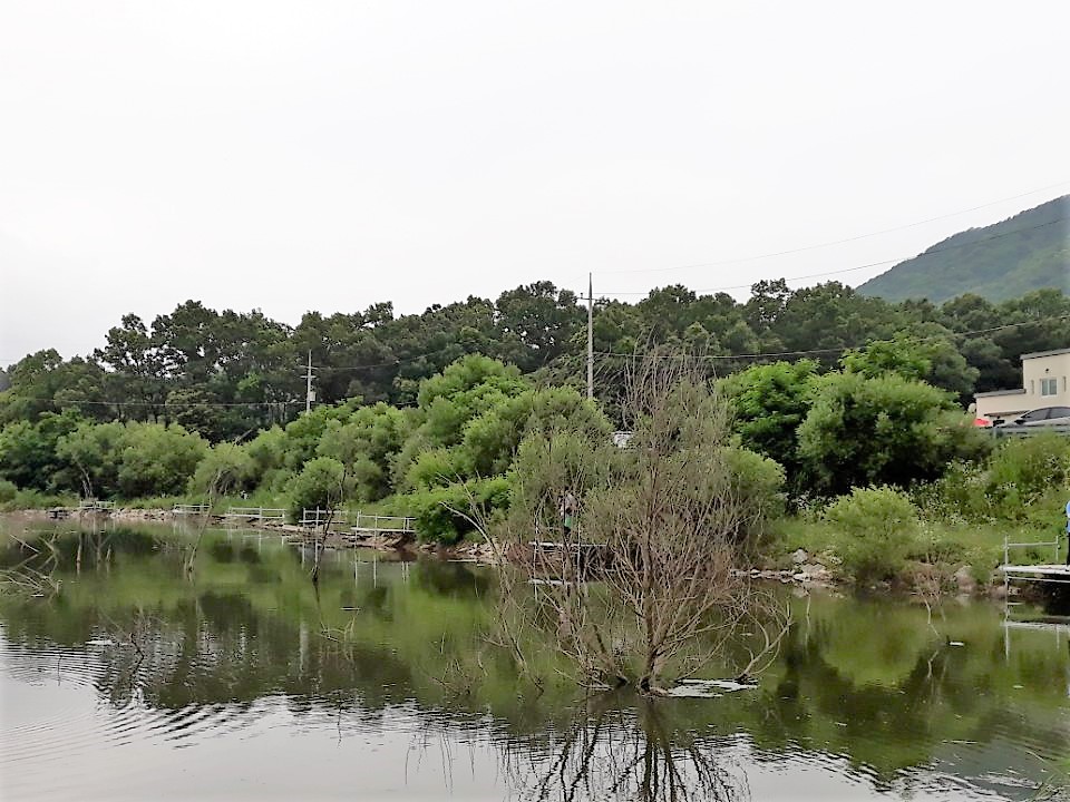 KakaoTalk_20180627_160137579.jpg