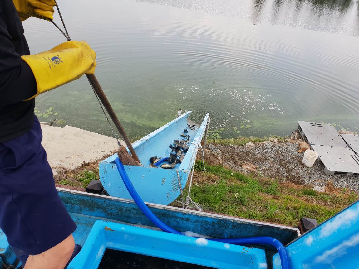 20180630_121938.jpg