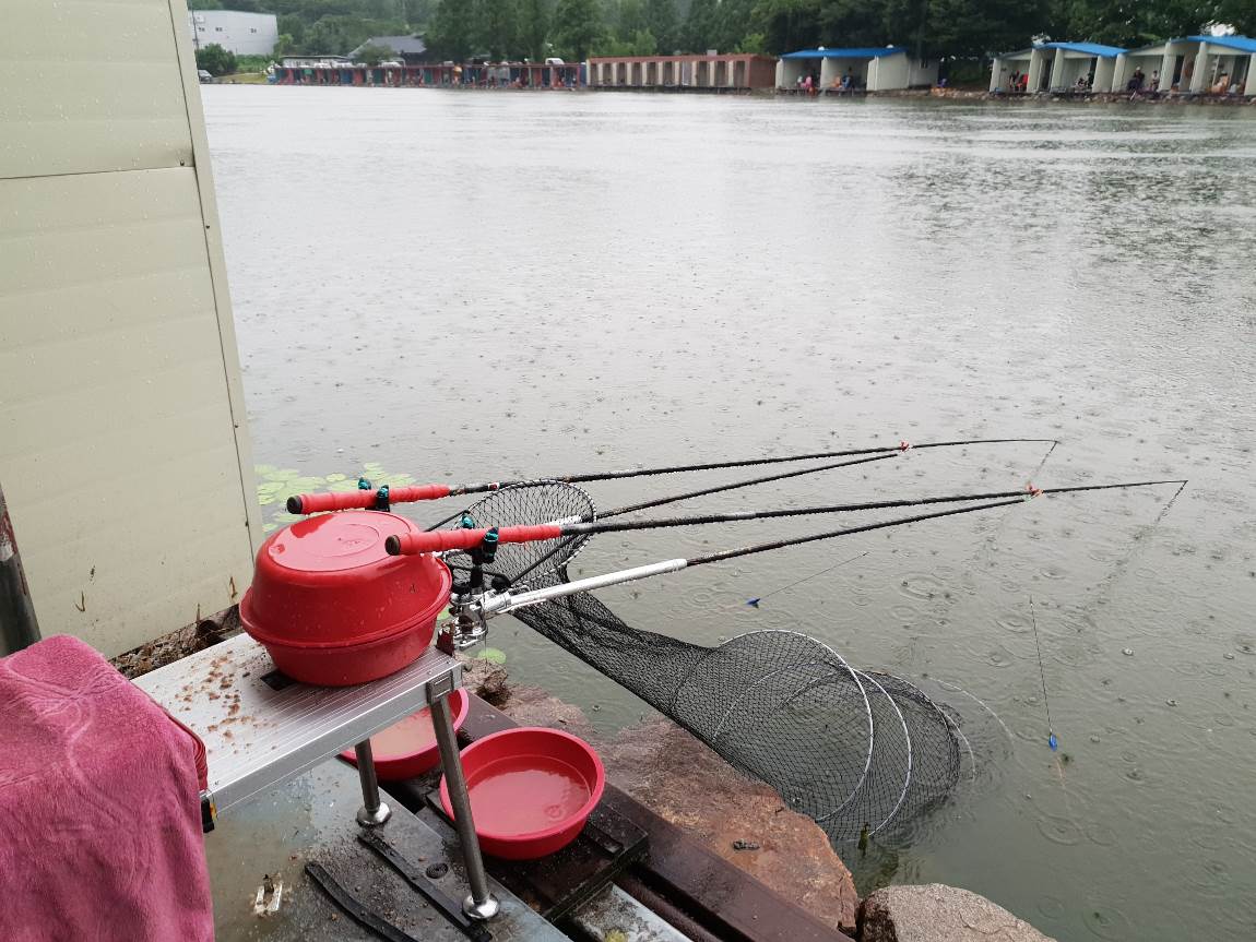 20180701_063124.jpg