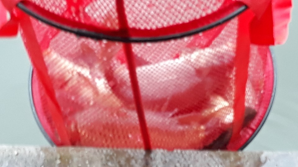 KakaoTalk_20180711_122422046.jpg