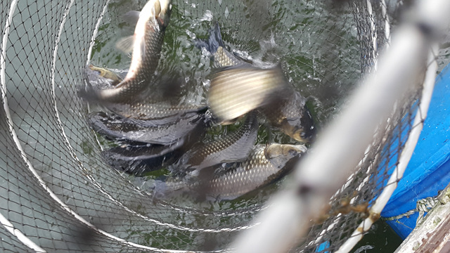 20180713_073543.jpg