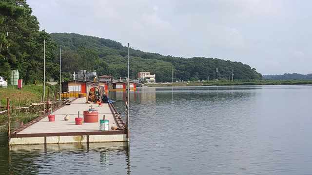 20180712_165219.jpg