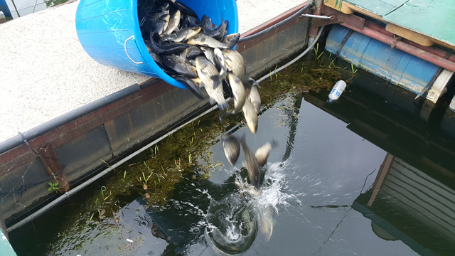20180713_081305.jpg