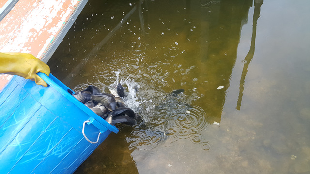 20180713_080419.jpg