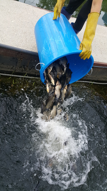 20180713_081307.jpg