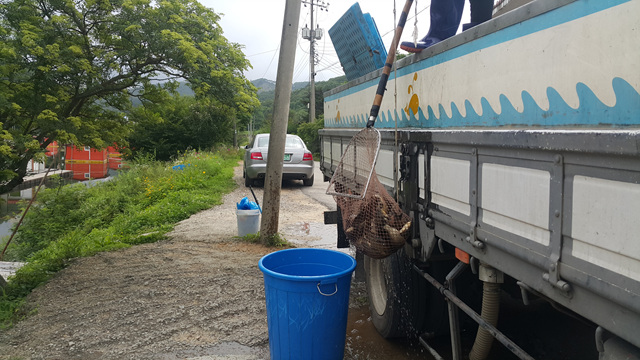 20180713_080905.jpg
