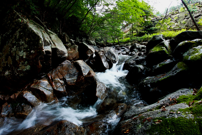 20120530180829_70163.jpg