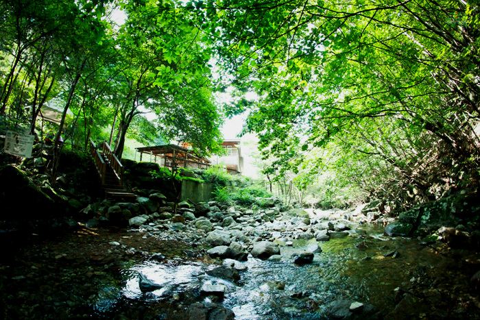 20120530180736_67554.jpg