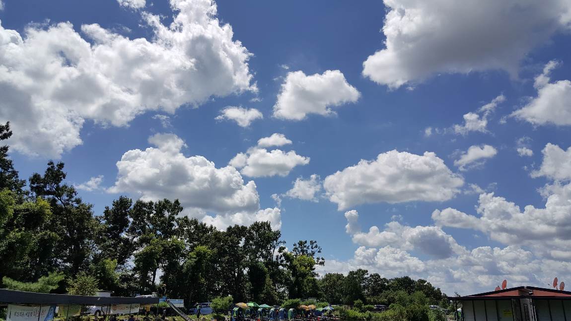 20180811_130717.jpg