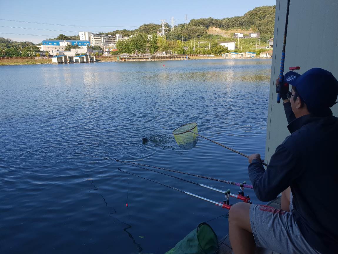 20180817_073152.jpg