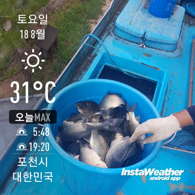 instaweather_20180818_142550.jpg