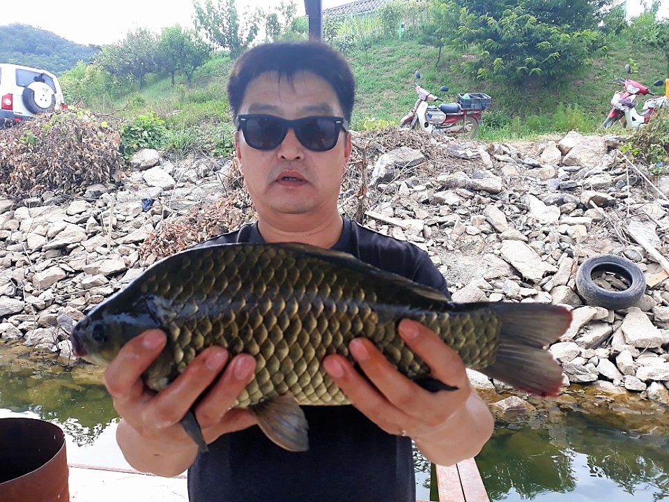 KakaoTalk_20180818_113954022.jpg