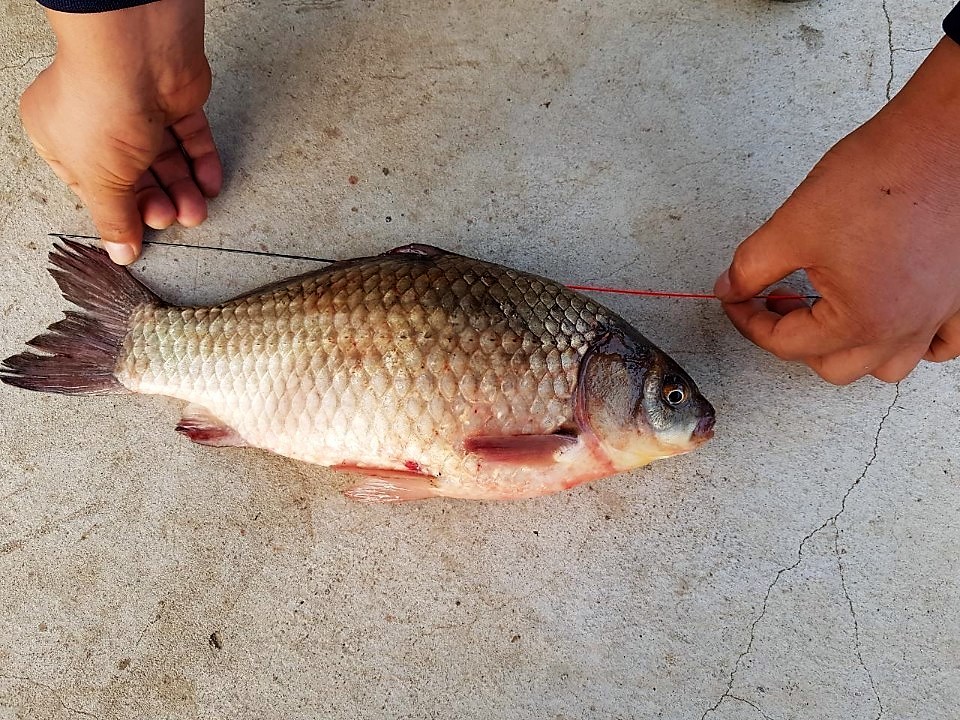 KakaoTalk_20180828_113228550.jpg