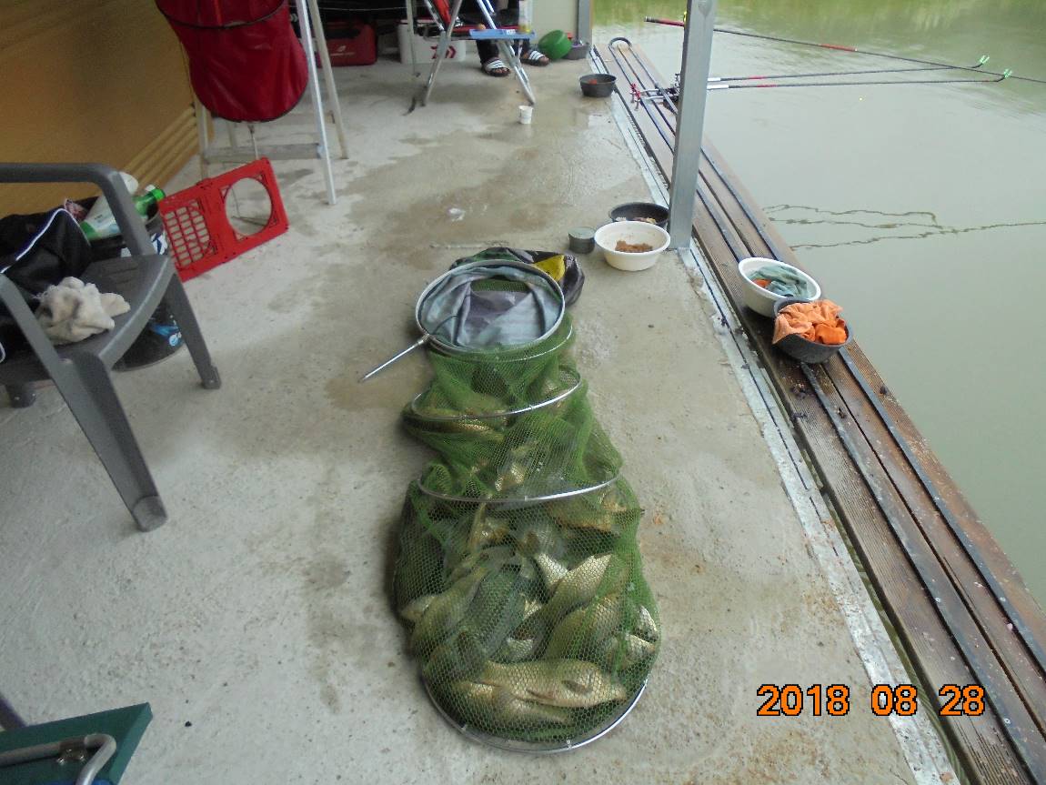 DSC01769.JPG