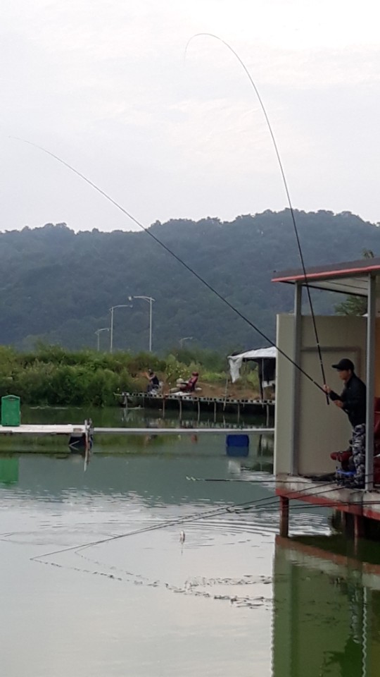 KakaoTalk_20180826_065842525.jpg