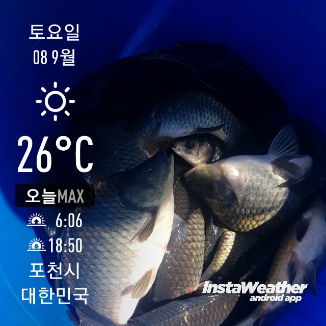 instaweather_20180908_105253.jpg