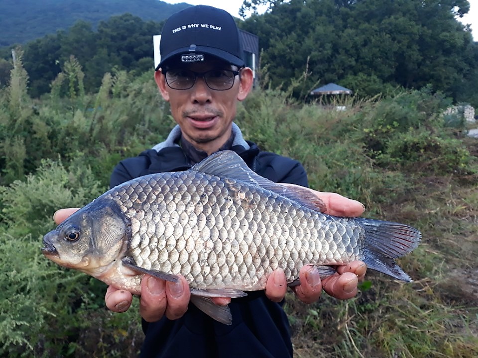 KakaoTalk_20180923_173744673.jpg