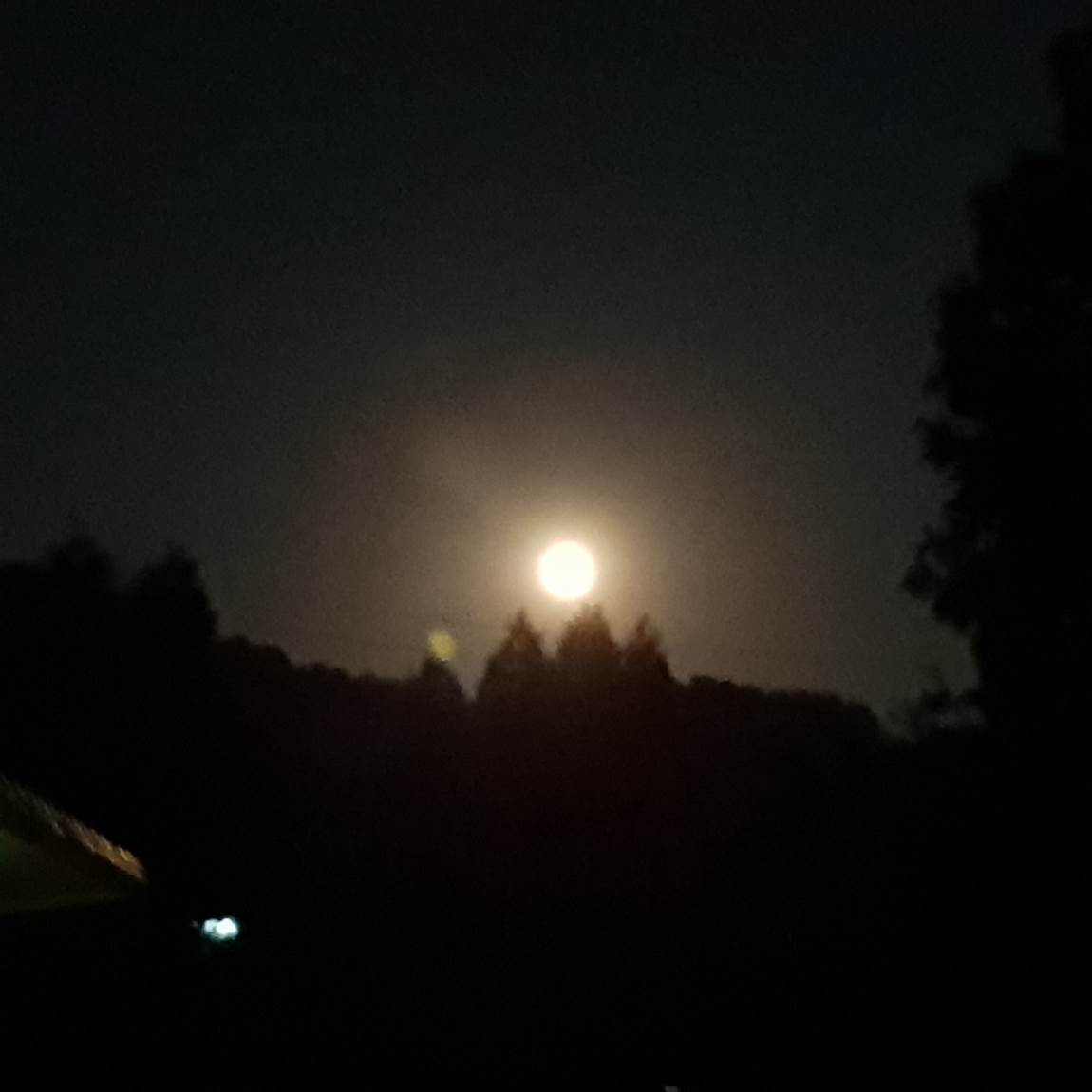 20180924_191912.jpg