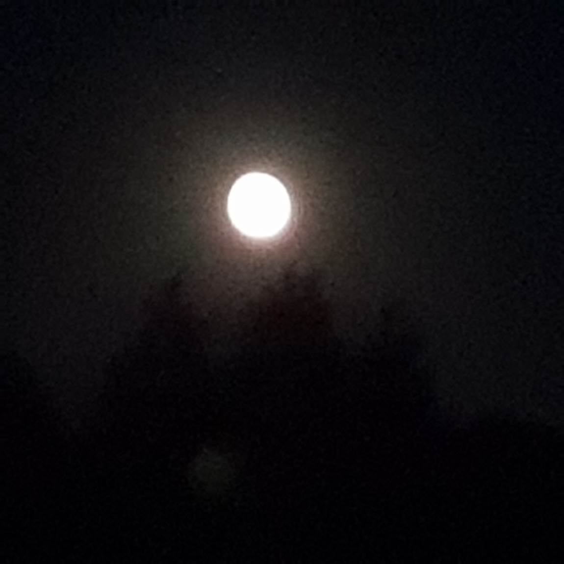 20180924_191924.jpg