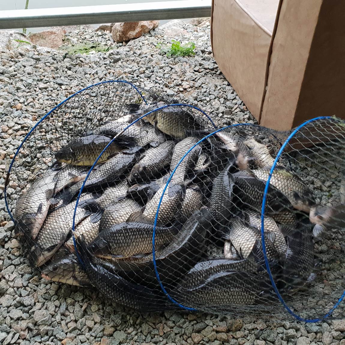 20180926_071947.jpg