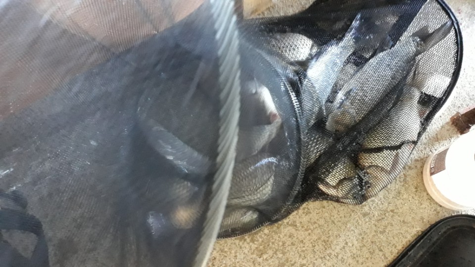 KakaoTalk_20180930_075305079.jpg