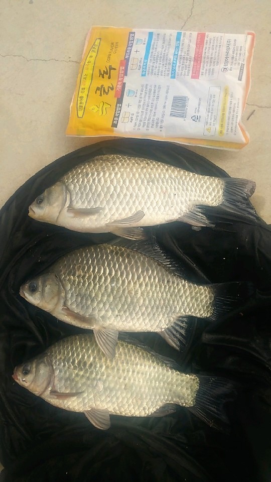 KakaoTalk_20181003_143629578.jpg