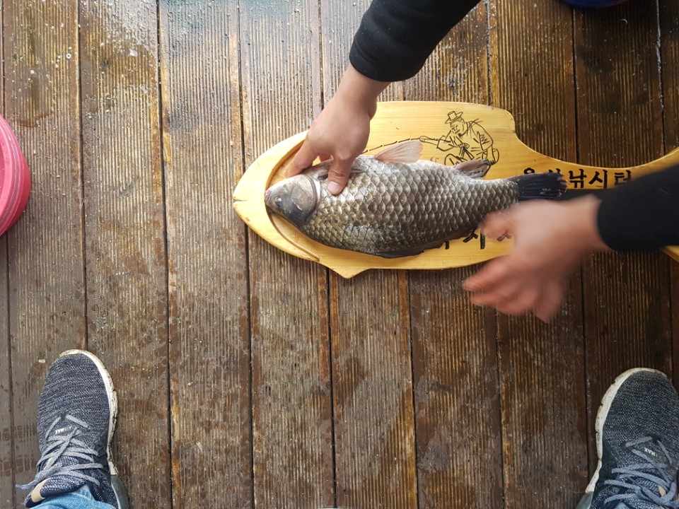 photo_6.JPG