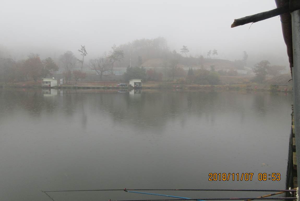 IMG_6999.JPG