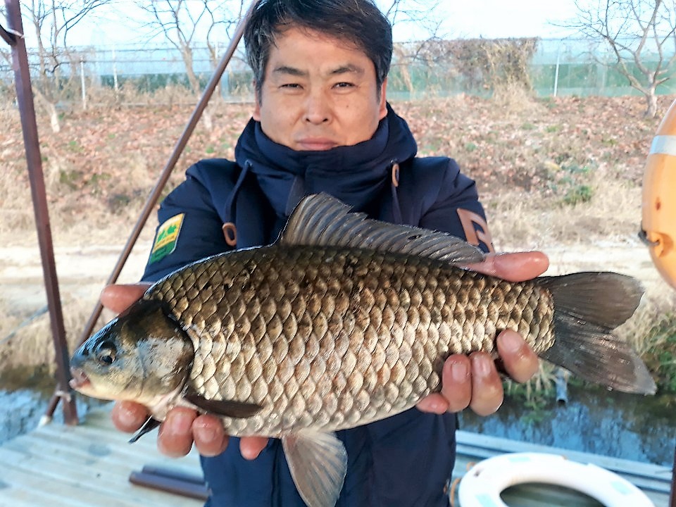 KakaoTalk_20181119_075631092.jpg