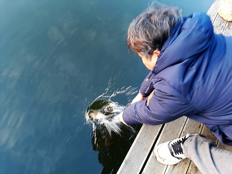 KakaoTalk_20181119_075630564.jpg