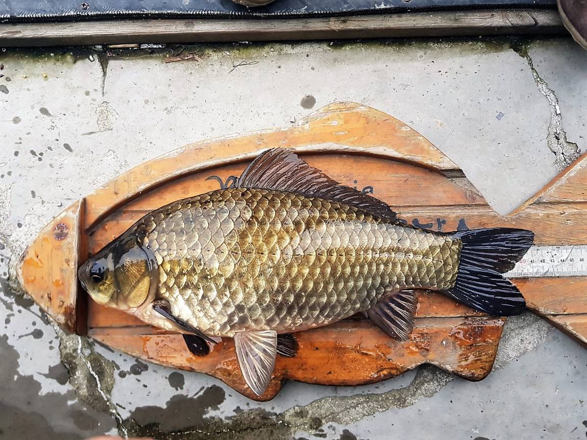 KakaoTalk_20181121_163302986.jpg