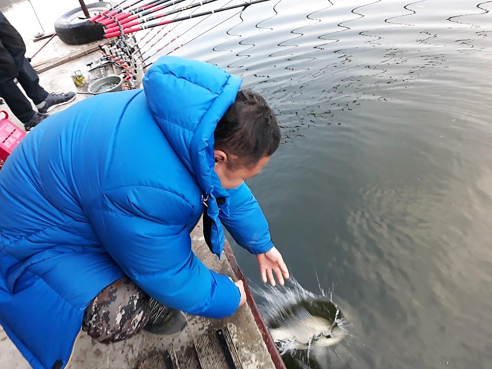 KakaoTalk_20181111_081029253.jpg
