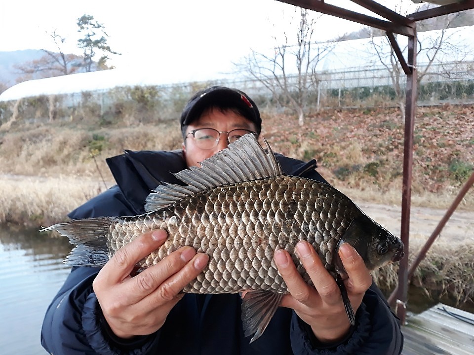 KakaoTalk_20181111_081031471.jpg