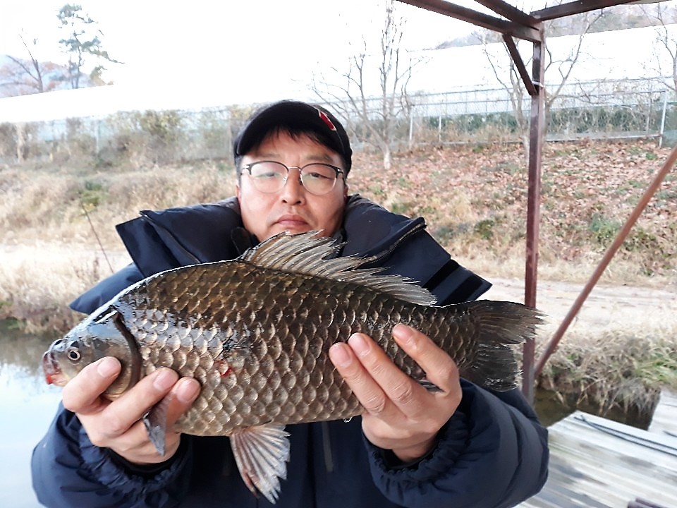 KakaoTalk_20181111_081032183.jpg