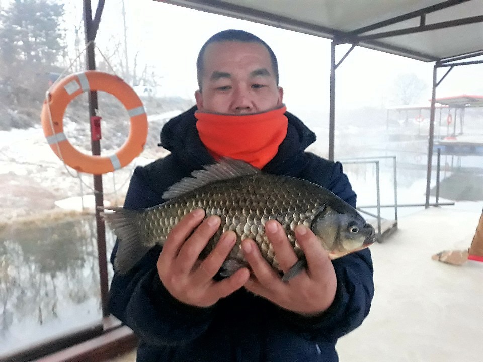KakaoTalk_20181126_092348762.jpg