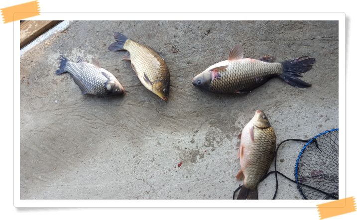 ²Ù¹Ì±â_120190207_093219.jpg