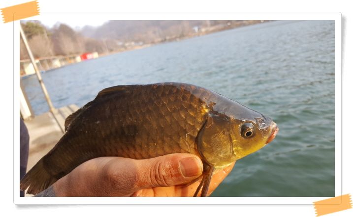 ²Ù¹Ì±â_120190207_093254.jpg