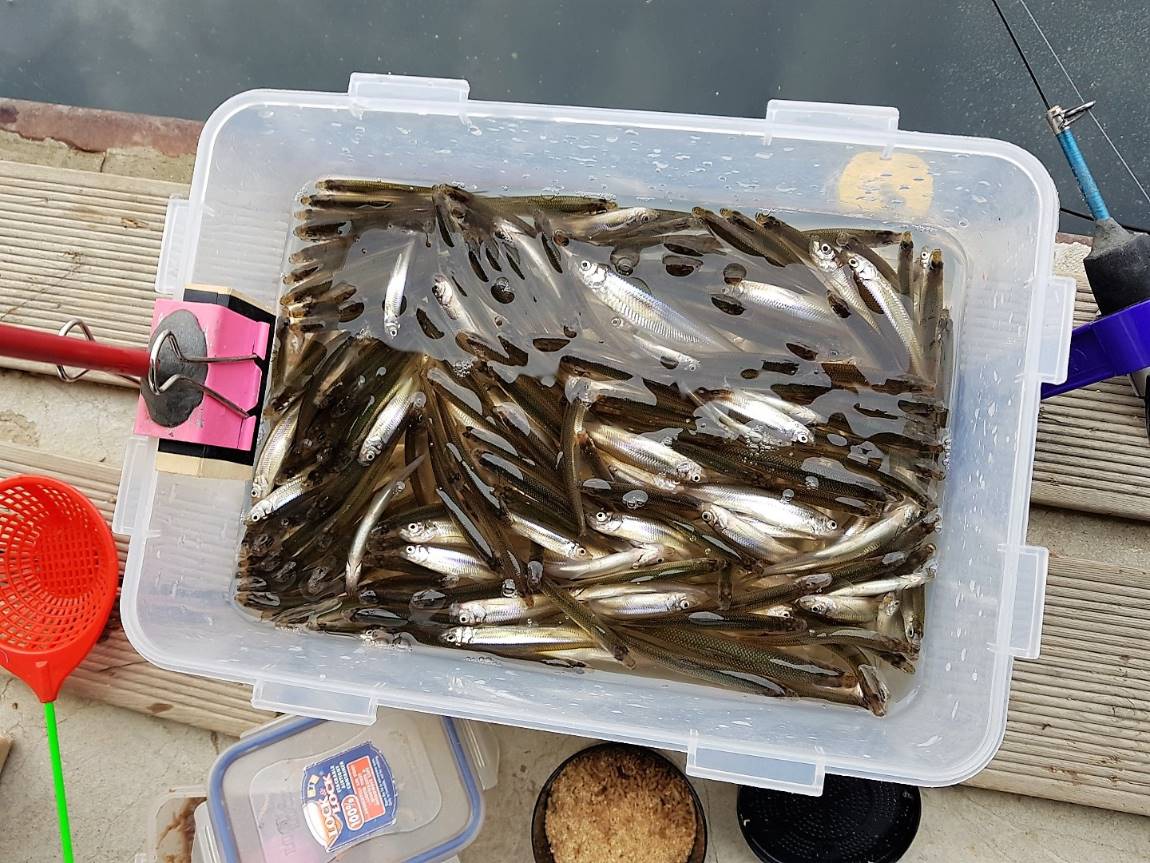 KakaoTalk_20190205_102809031.jpg