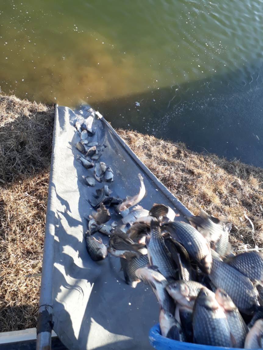 20190209_092710.jpg