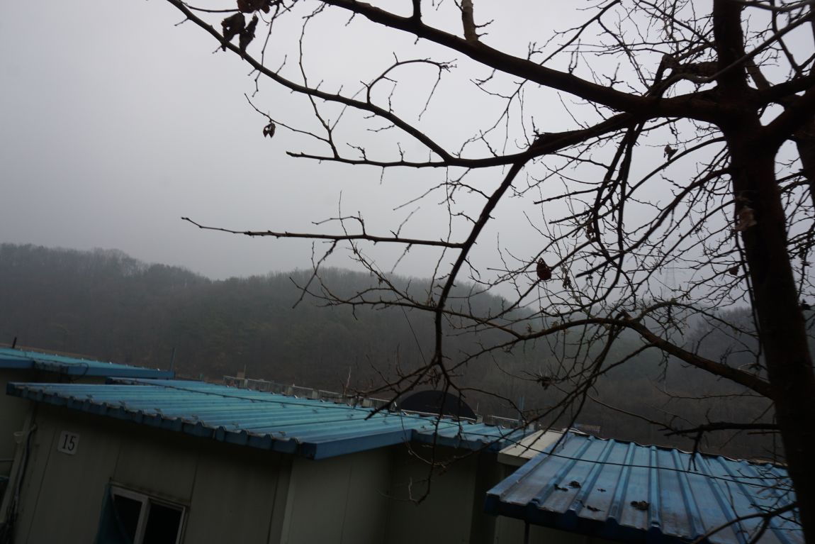 DSC06970.JPG