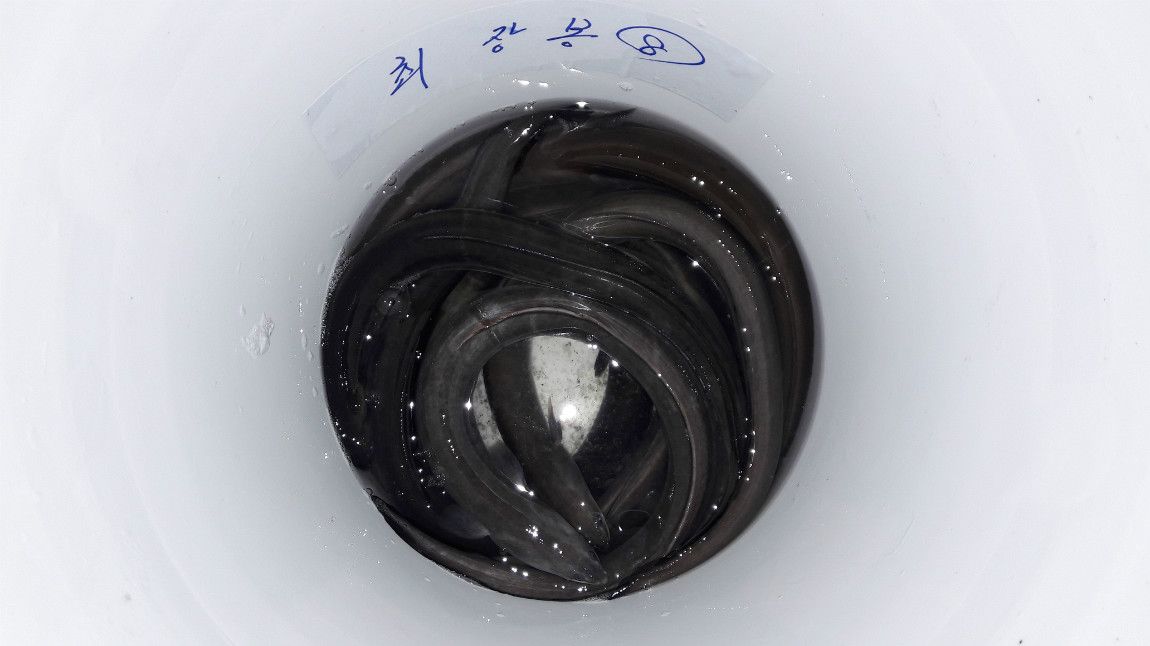 2019.03.14 Èñ°© 006.jpg