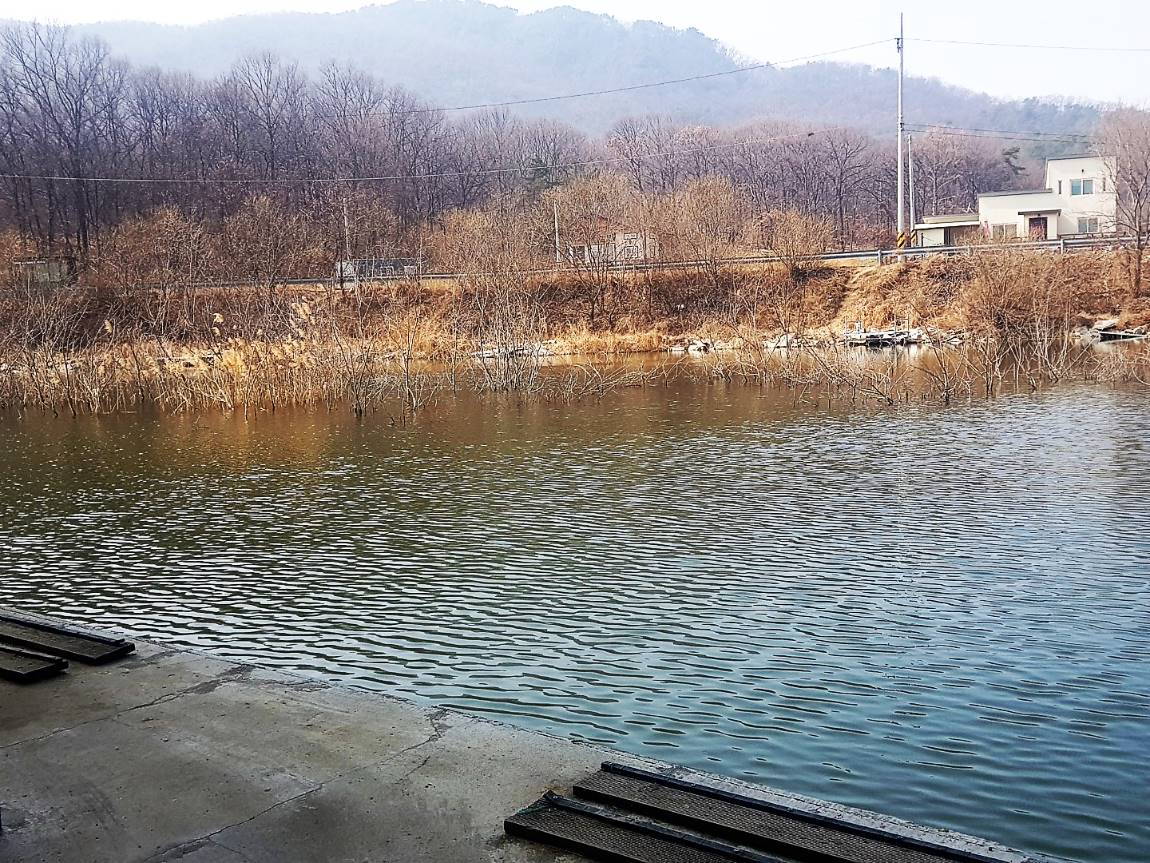 KakaoTalk_20190304_154215070.jpg