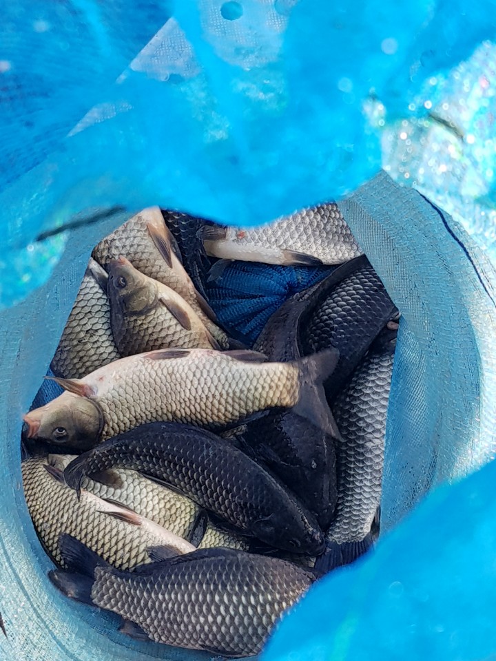 KakaoTalk_20190310_114841196.jpg