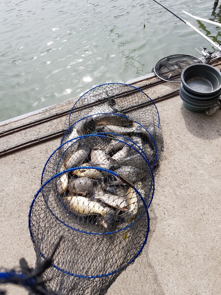 KakaoTalk_20190310_114841549.jpg